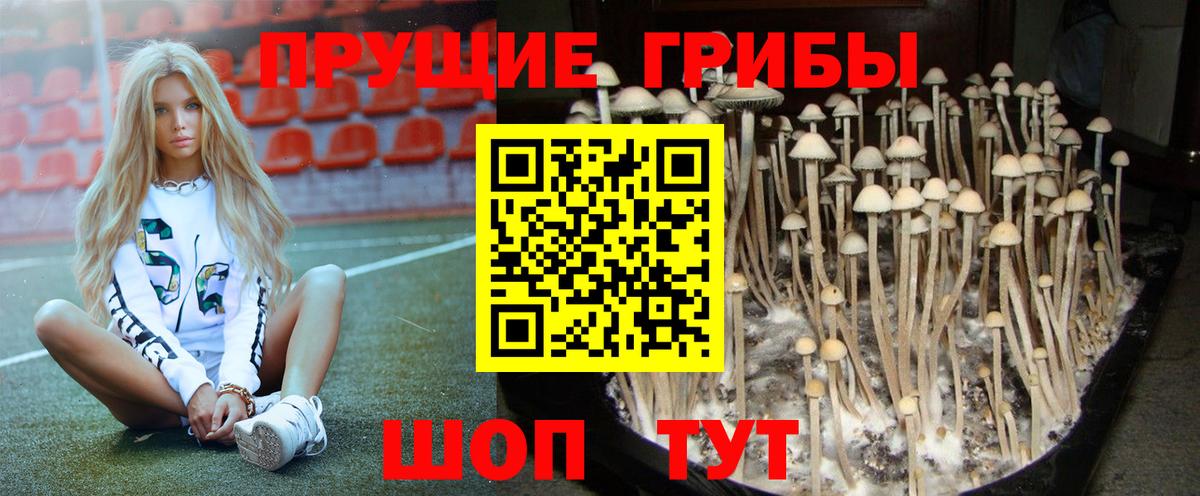 Нижний Новгород  Марихуана  МЕФ кристаллы  Гашиш  Вход с VPN  ГАШ 