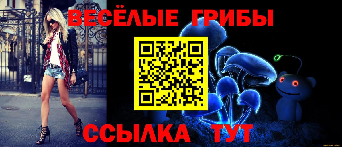 Галлюциногенные грибы мицелий Нижний Новгород